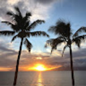 Meet your Posher, Ella